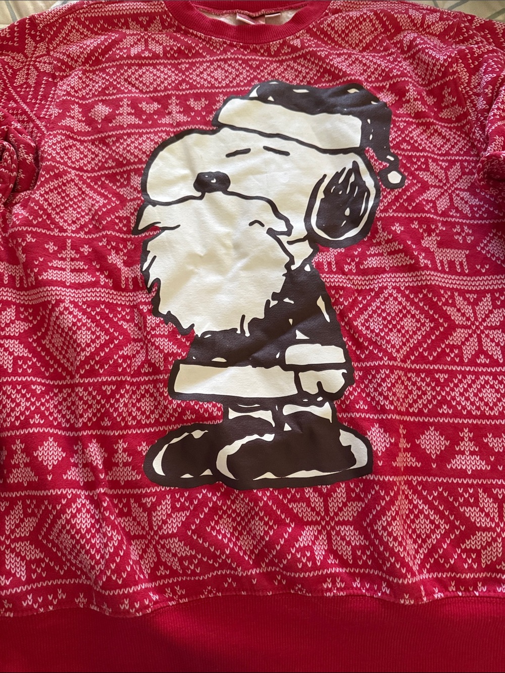 Peanuts Red Crewneck Sweatshirt with Logo Tag